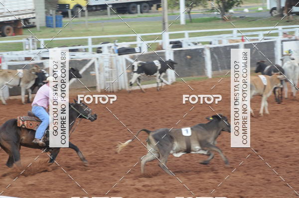 Buy your photos of the eventCAMPEONATO ACC TEAM PENNING SEGUNDA ETAPA on Fotop