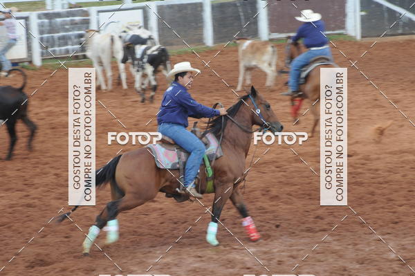 Buy your photos of the eventCAMPEONATO ACC TEAM PENNING SEGUNDA ETAPA on Fotop