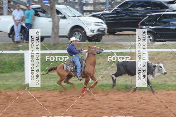 Buy your photos of the eventCAMPEONATO ACC TEAM PENNING SEGUNDA ETAPA on Fotop