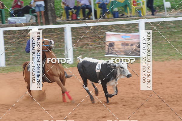 Buy your photos of the eventCAMPEONATO ACC TEAM PENNING SEGUNDA ETAPA on Fotop