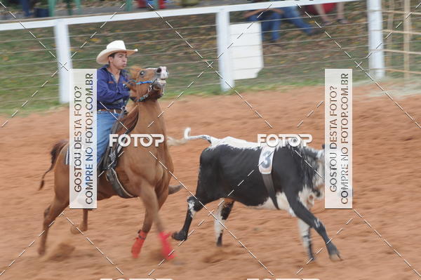 Buy your photos of the eventCAMPEONATO ACC TEAM PENNING SEGUNDA ETAPA on Fotop