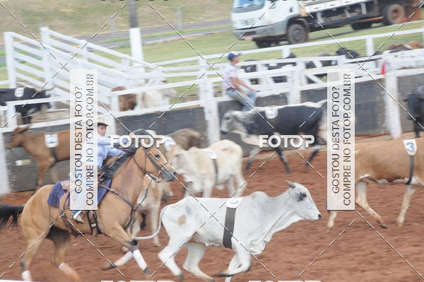 Buy your photos of the eventCAMPEONATO ACC TEAM PENNING SEGUNDA ETAPA on Fotop