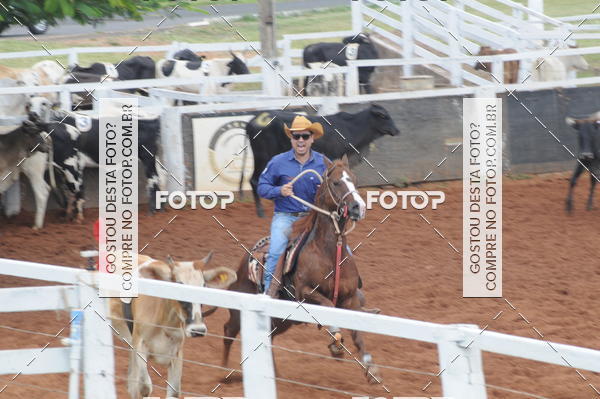 Buy your photos of the eventCAMPEONATO ACC TEAM PENNING SEGUNDA ETAPA on Fotop