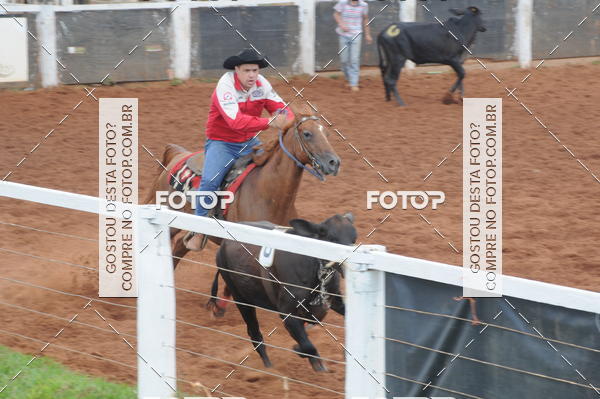 Buy your photos of the eventCAMPEONATO ACC TEAM PENNING SEGUNDA ETAPA on Fotop