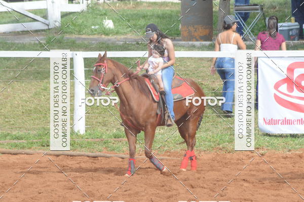 Buy your photos of the eventCAMPEONATO ACC TEAM PENNING SEGUNDA ETAPA on Fotop
