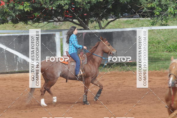 Buy your photos of the eventCAMPEONATO ACC TEAM PENNING SEGUNDA ETAPA on Fotop