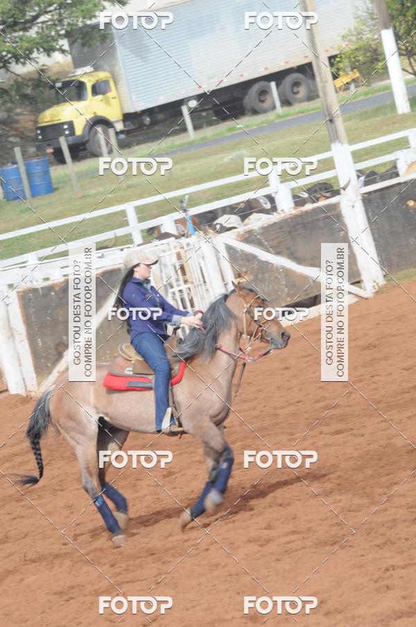 Buy your photos of the eventCAMPEONATO ACC TEAM PENNING SEGUNDA ETAPA on Fotop