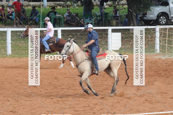 Buy your photos of the eventCAMPEONATO ACC TEAM PENNING SEGUNDA ETAPA on Fotop