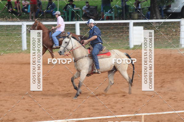 Buy your photos of the eventCAMPEONATO ACC TEAM PENNING SEGUNDA ETAPA on Fotop