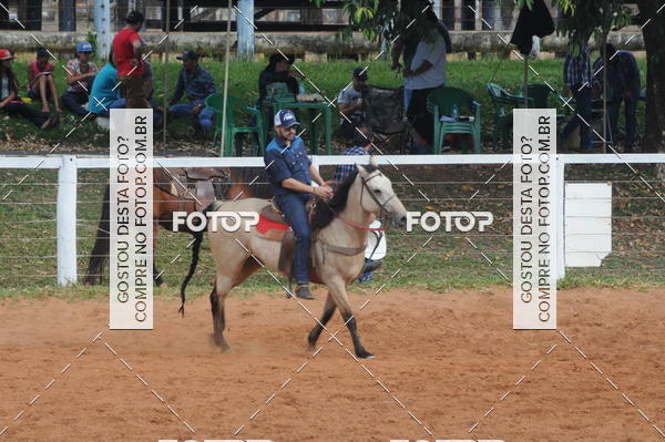 Buy your photos of the eventCAMPEONATO ACC TEAM PENNING SEGUNDA ETAPA on Fotop