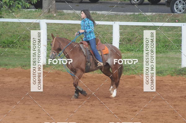 Buy your photos of the eventCAMPEONATO ACC TEAM PENNING SEGUNDA ETAPA on Fotop