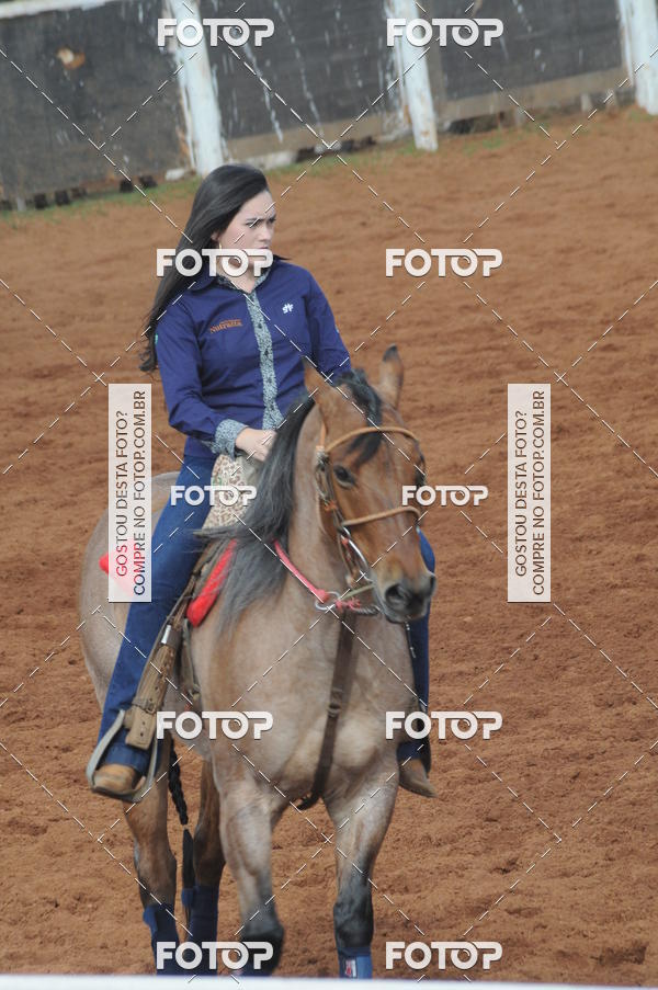 Buy your photos of the eventCAMPEONATO ACC TEAM PENNING SEGUNDA ETAPA on Fotop