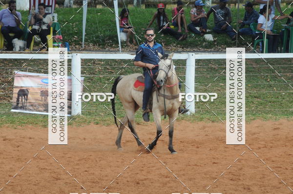 Buy your photos of the eventCAMPEONATO ACC TEAM PENNING SEGUNDA ETAPA on Fotop