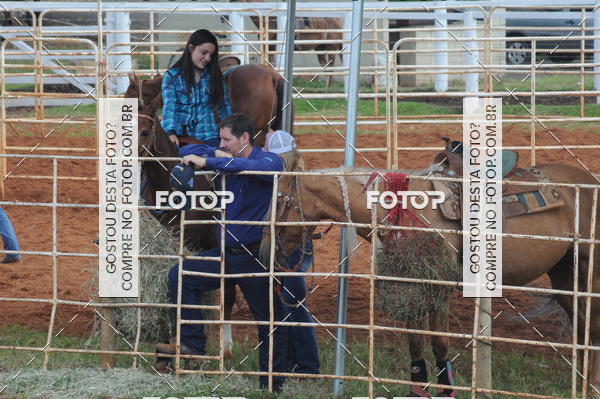 Buy your photos of the eventCAMPEONATO ACC TEAM PENNING SEGUNDA ETAPA on Fotop