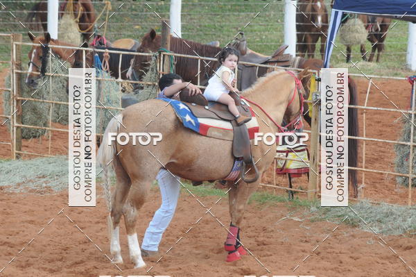 Buy your photos of the eventCAMPEONATO ACC TEAM PENNING SEGUNDA ETAPA on Fotop