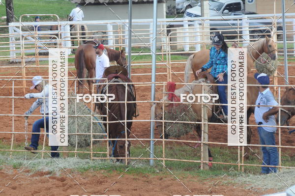 Buy your photos of the eventCAMPEONATO ACC TEAM PENNING SEGUNDA ETAPA on Fotop