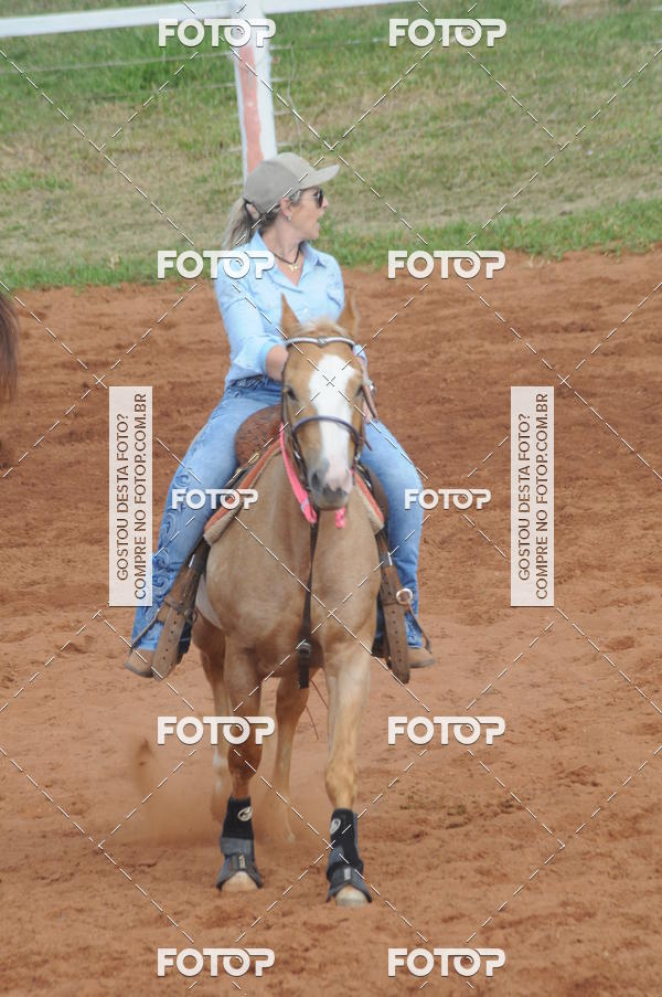 Buy your photos of the eventCAMPEONATO ACC TEAM PENNING SEGUNDA ETAPA on Fotop