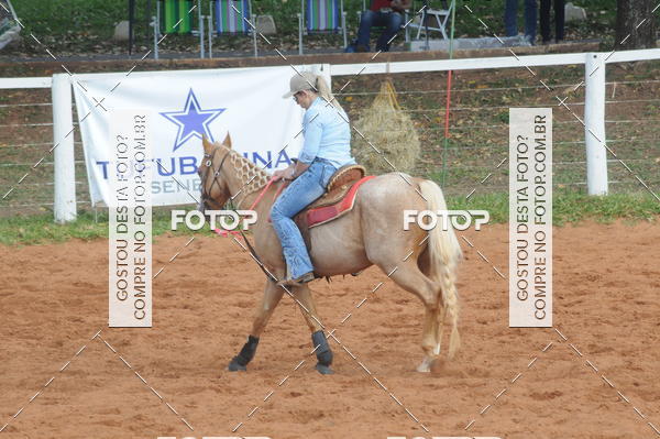 Buy your photos of the eventCAMPEONATO ACC TEAM PENNING SEGUNDA ETAPA on Fotop