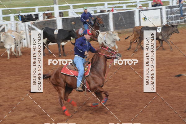 Buy your photos of the eventCAMPEONATO ACC TEAM PENNING SEGUNDA ETAPA on Fotop