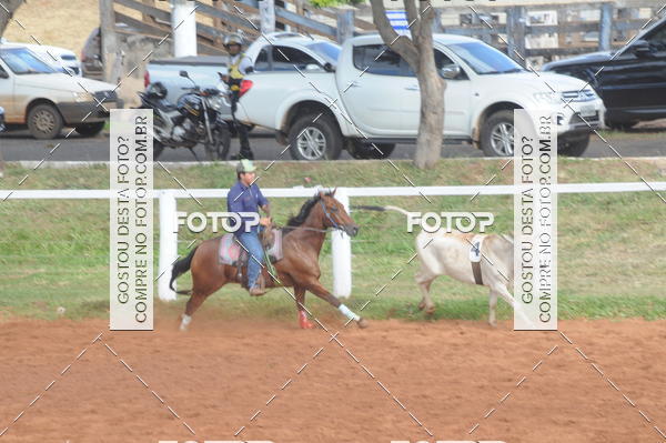 Buy your photos of the eventCAMPEONATO ACC TEAM PENNING SEGUNDA ETAPA on Fotop