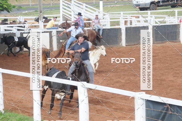 Buy your photos of the eventCAMPEONATO ACC TEAM PENNING SEGUNDA ETAPA on Fotop