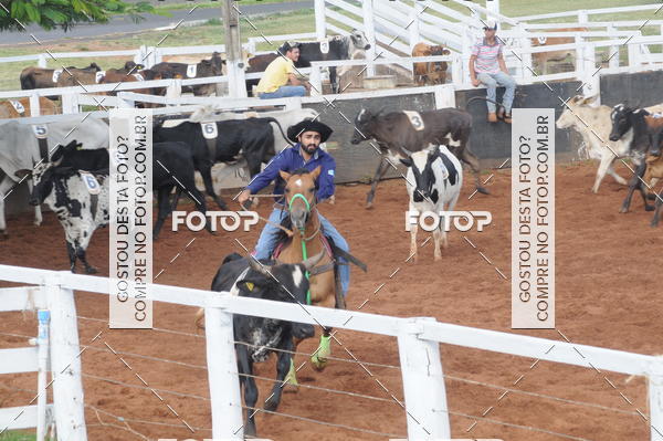 Buy your photos of the eventCAMPEONATO ACC TEAM PENNING SEGUNDA ETAPA on Fotop
