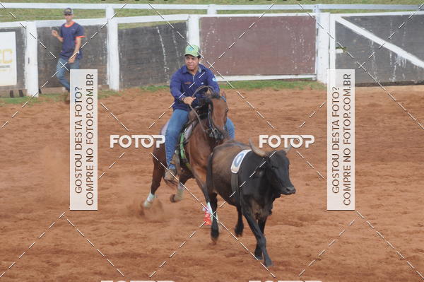 Buy your photos of the eventCAMPEONATO ACC TEAM PENNING SEGUNDA ETAPA on Fotop