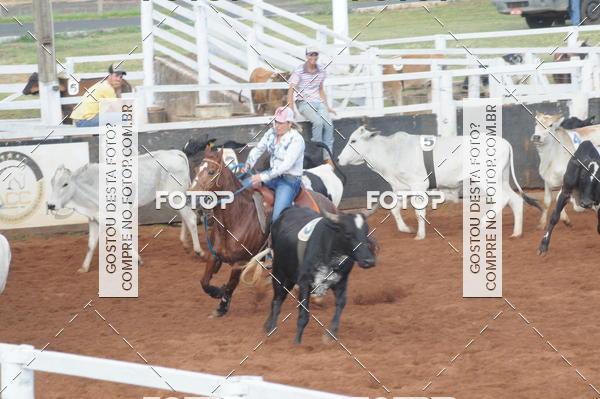 Buy your photos of the eventCAMPEONATO ACC TEAM PENNING SEGUNDA ETAPA on Fotop