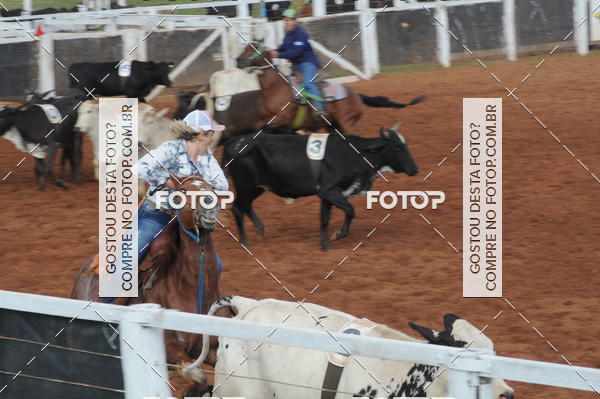 Buy your photos of the eventCAMPEONATO ACC TEAM PENNING SEGUNDA ETAPA on Fotop