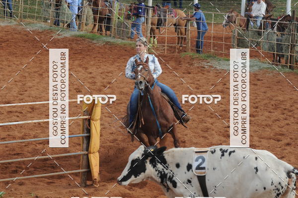 Buy your photos of the eventCAMPEONATO ACC TEAM PENNING SEGUNDA ETAPA on Fotop