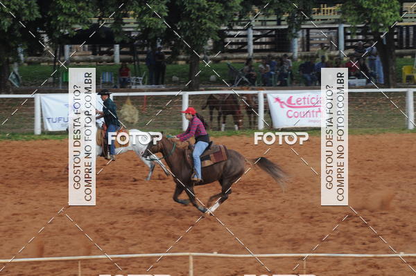 Buy your photos of the eventCAMPEONATO ACC TEAM PENNING SEGUNDA ETAPA on Fotop
