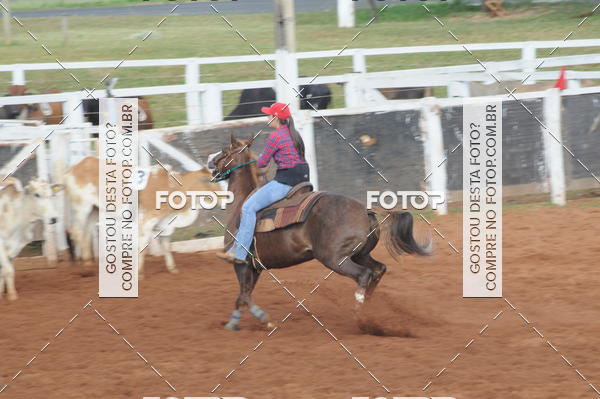 Buy your photos of the eventCAMPEONATO ACC TEAM PENNING SEGUNDA ETAPA on Fotop