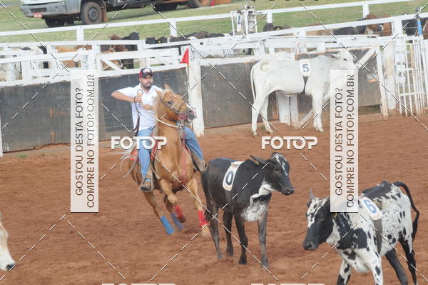Buy your photos of the eventCAMPEONATO ACC TEAM PENNING SEGUNDA ETAPA on Fotop