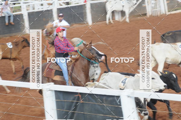 Buy your photos of the eventCAMPEONATO ACC TEAM PENNING SEGUNDA ETAPA on Fotop