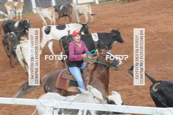 Buy your photos of the eventCAMPEONATO ACC TEAM PENNING SEGUNDA ETAPA on Fotop