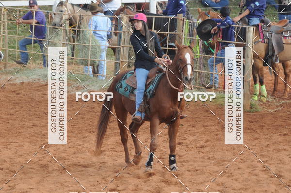 Buy your photos of the eventCAMPEONATO ACC TEAM PENNING SEGUNDA ETAPA on Fotop