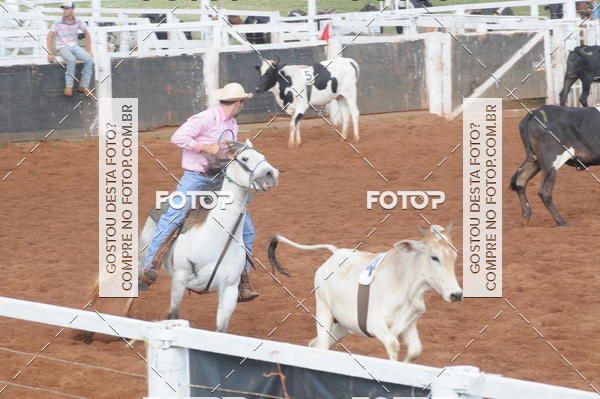 Buy your photos of the eventCAMPEONATO ACC TEAM PENNING SEGUNDA ETAPA on Fotop
