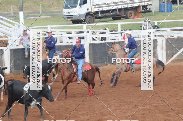 Buy your photos of the eventCAMPEONATO ACC TEAM PENNING SEGUNDA ETAPA on Fotop