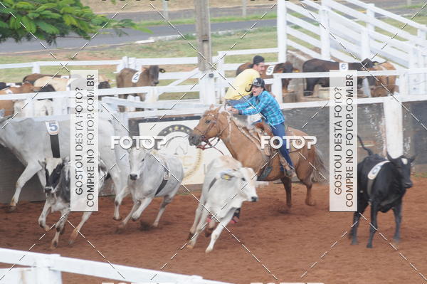 Buy your photos of the eventCAMPEONATO ACC TEAM PENNING SEGUNDA ETAPA on Fotop