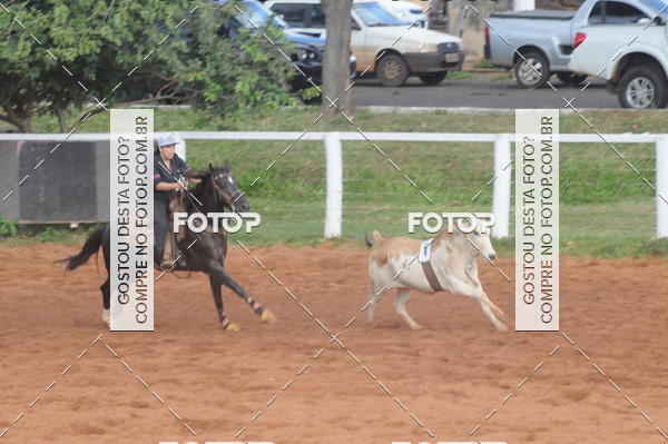 Buy your photos of the eventCAMPEONATO ACC TEAM PENNING SEGUNDA ETAPA on Fotop