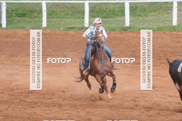 Buy your photos of the eventCAMPEONATO ACC TEAM PENNING SEGUNDA ETAPA on Fotop