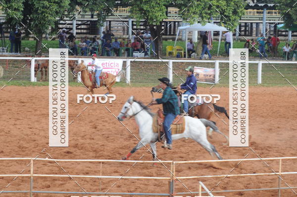Buy your photos of the eventCAMPEONATO ACC TEAM PENNING SEGUNDA ETAPA on Fotop