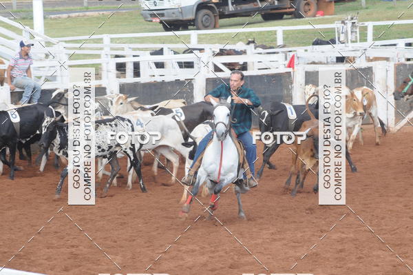 Buy your photos of the eventCAMPEONATO ACC TEAM PENNING SEGUNDA ETAPA on Fotop