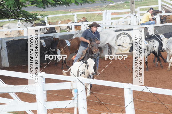 Buy your photos of the eventCAMPEONATO ACC TEAM PENNING SEGUNDA ETAPA on Fotop