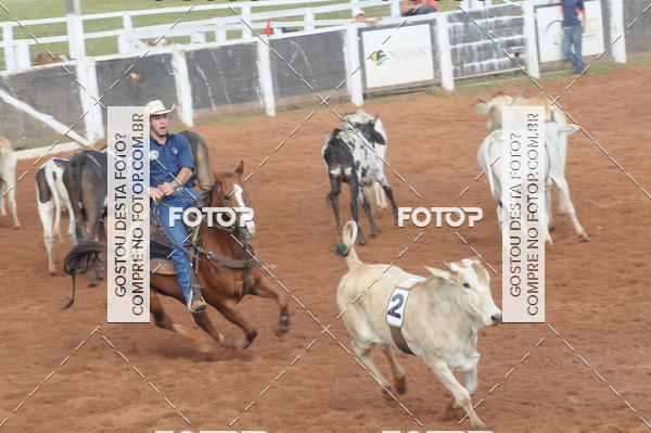 Buy your photos of the eventCAMPEONATO ACC TEAM PENNING SEGUNDA ETAPA on Fotop