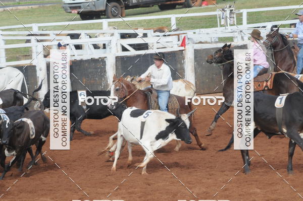 Buy your photos of the eventCAMPEONATO ACC TEAM PENNING SEGUNDA ETAPA on Fotop