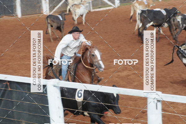 Buy your photos of the eventCAMPEONATO ACC TEAM PENNING SEGUNDA ETAPA on Fotop