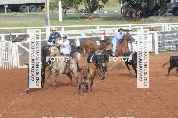 Buy your photos of the eventCAMPEONATO ACC TEAM PENNING SEGUNDA ETAPA on Fotop
