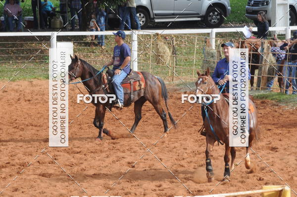 Buy your photos of the eventCAMPEONATO ACC TEAM PENNING SEGUNDA ETAPA on Fotop