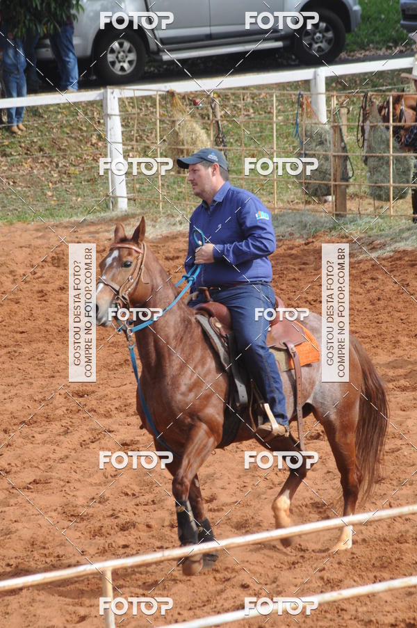 Buy your photos of the eventCAMPEONATO ACC TEAM PENNING SEGUNDA ETAPA on Fotop
